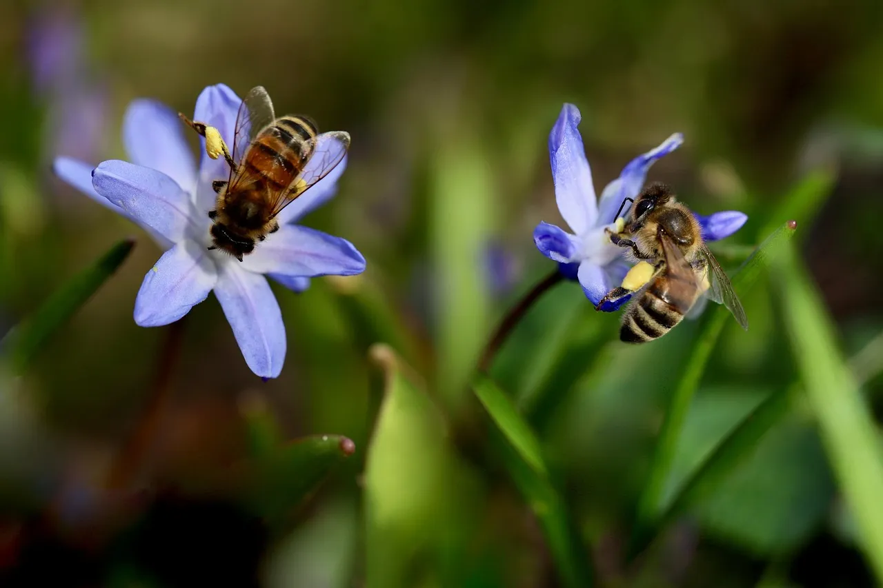 Jardins, jardin : un campus urbain dédié à la biodiversité à Paris