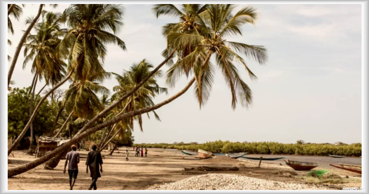 Jinack, l’île gambienne qui attire les candidats à l’exil en quête de refuge