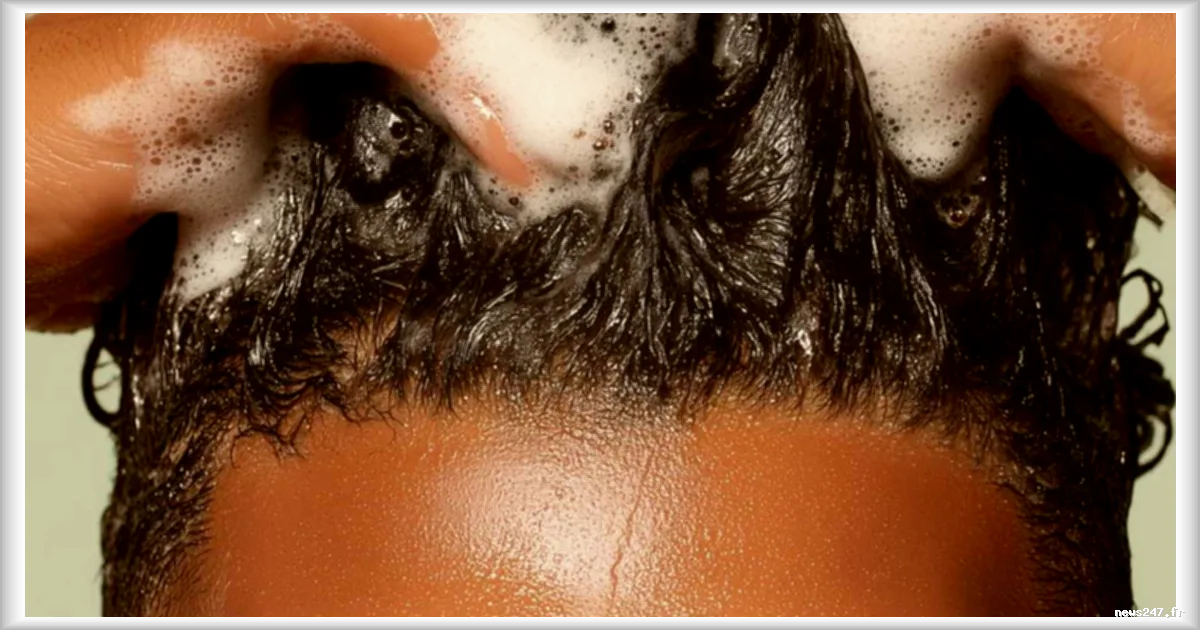 Kelly Massol : Les secrets de Loly à nouveau en expansion après une levée de fonds