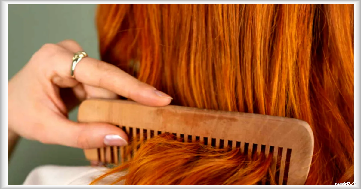 La Bonne Brosse : polémique autour du prix d'une brosse à cheveux de luxe
