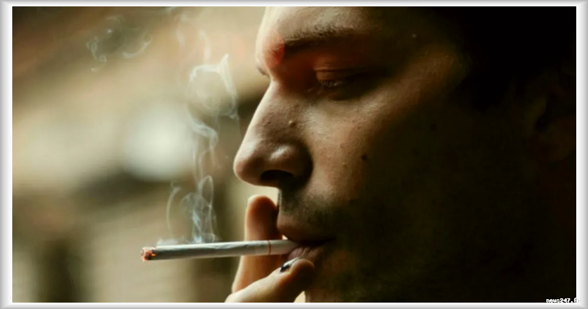 La cigarette fait son retour à Hollywood : entre nihilisme générationnel et effet de mode