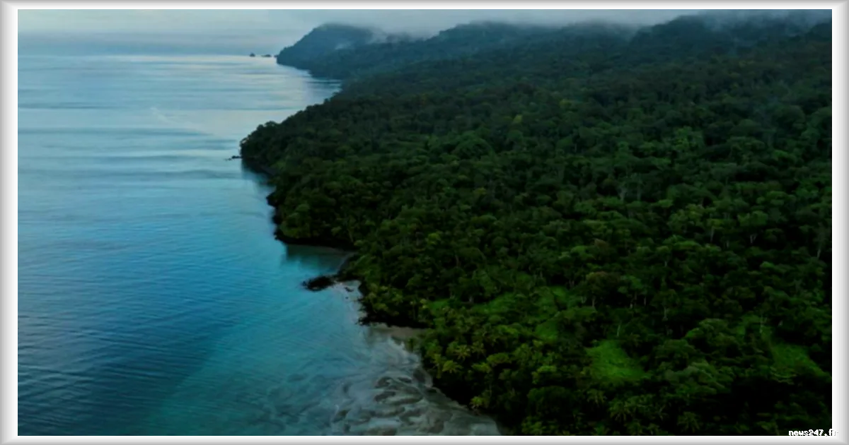 La Colombie découvre un important gisement de gaz en mer des Caraïbes