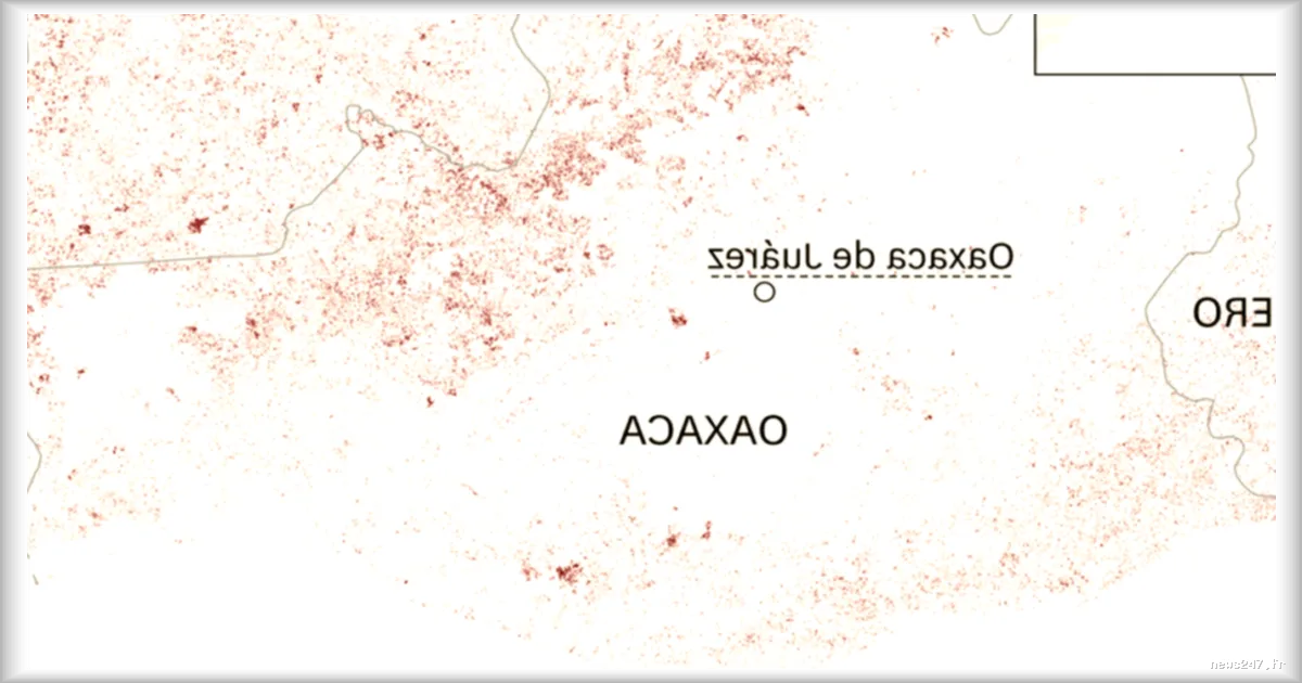 La demande croissante de mezcal au Mexique entraine la déforestation de milliers d'hectares de forêts