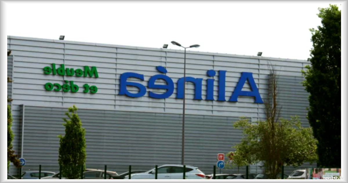 La fermeture définitive d'Alinéa : 1 200 salariés touchés