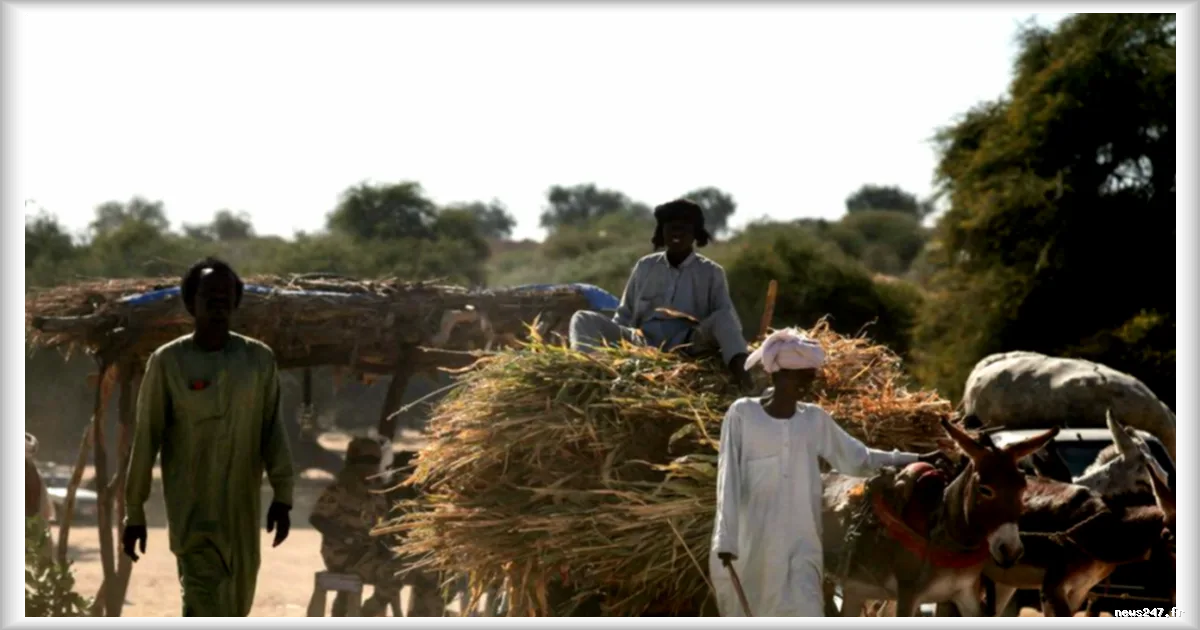 La guerre au Soudan s'étend au Tchad, les frontières sont fermées