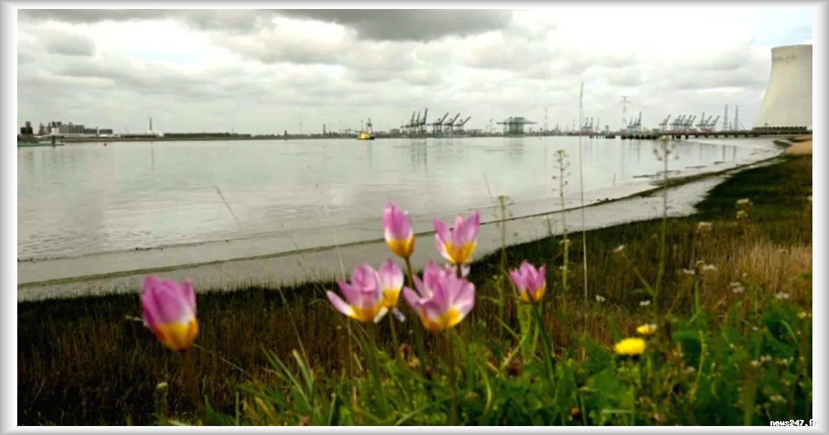 La guerre en Iran affaiblit la croissance mondiale : la récession évitable mais des défis persistants