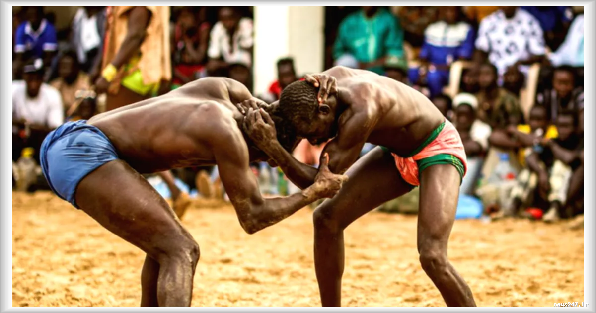 La lutte sénégalaise : quand la poésie précède le combat