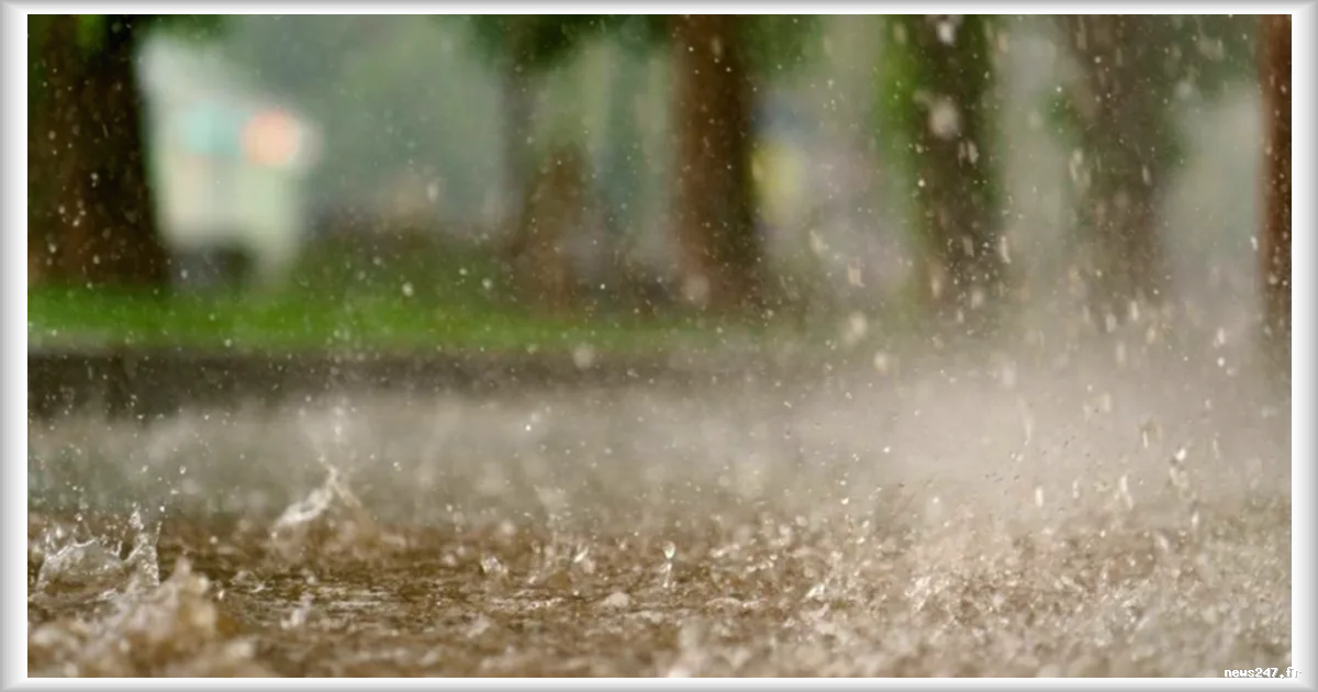 La météo du 10 mars : ciel couvert et douceur persistante
