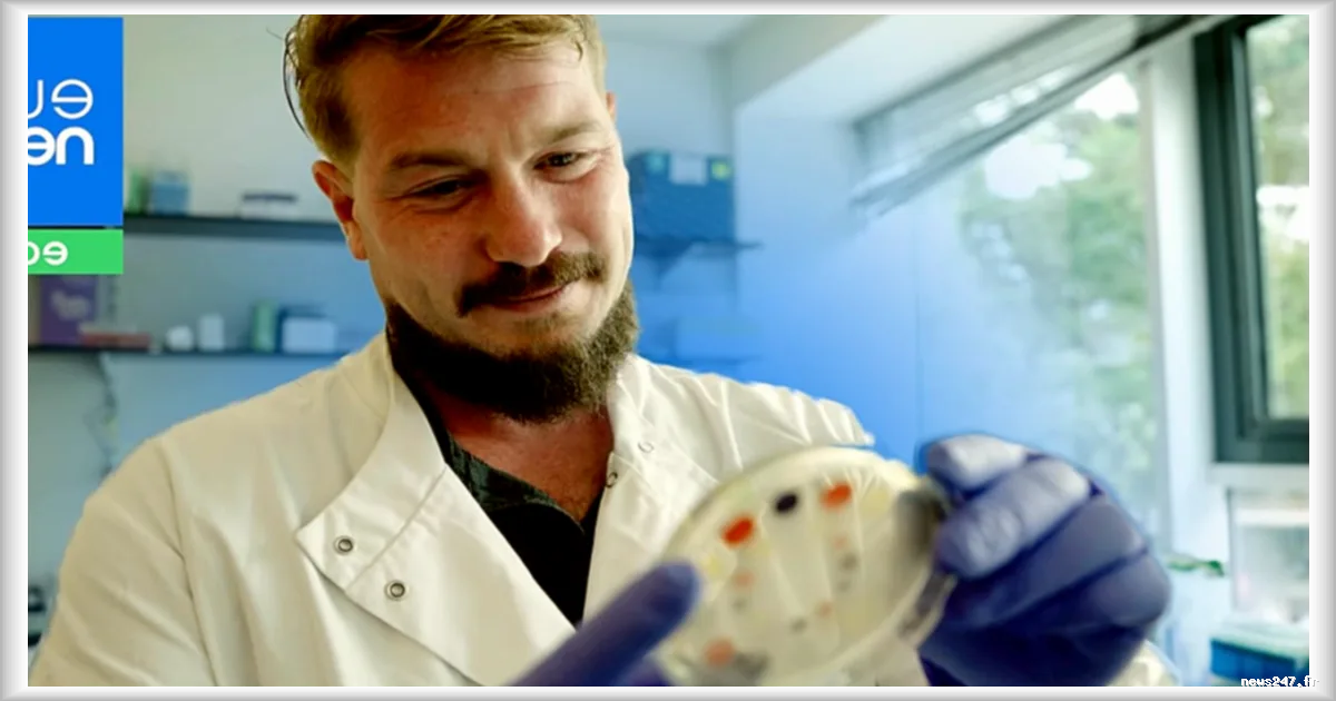 La mode durable : une start-up utilise la biologie pour remplacer les teintures toxiques