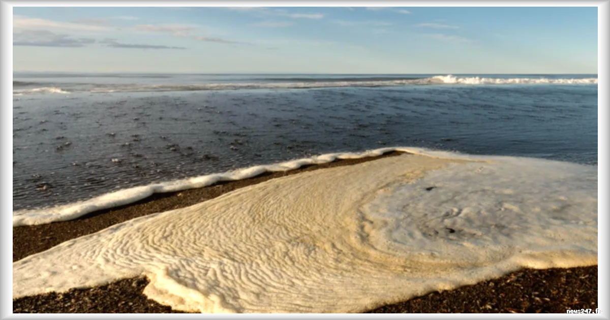 La pollution par les pesticides, les médicaments et les composés industriels répandue dans l’eau de mer