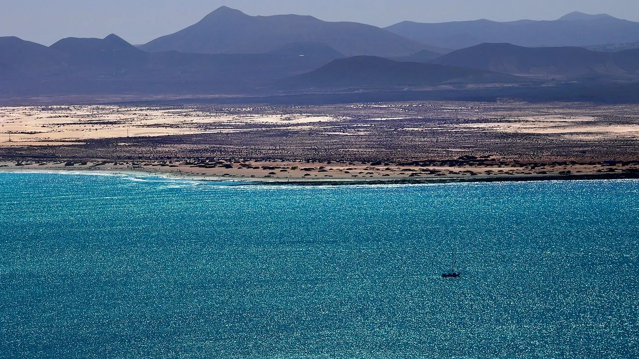 La révocation d'un texte fondateur pour la lutte contre le changement climatique aux États-Unis