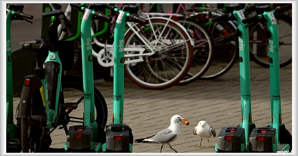La sécurité des trottinettes électriques en question en Europe