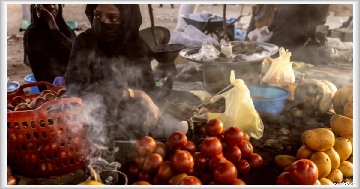 La survie au quotidien à la frontière entre le Soudan et le Tchad