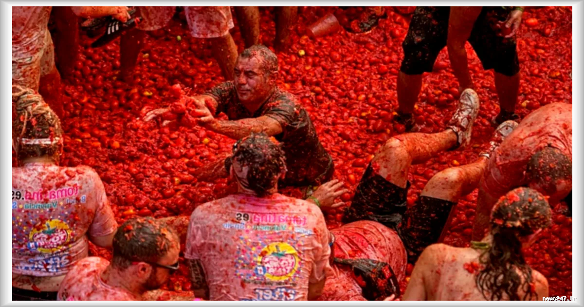 La Tomatina 2026 : des milliers de participants envahissent Buñol pour la traditionnelle bataille de tomates