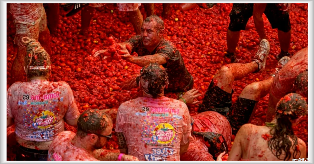 La Tomatina 2026 : des milliers de participants envahissent Buñol pour la traditionnelle bataille de tomates