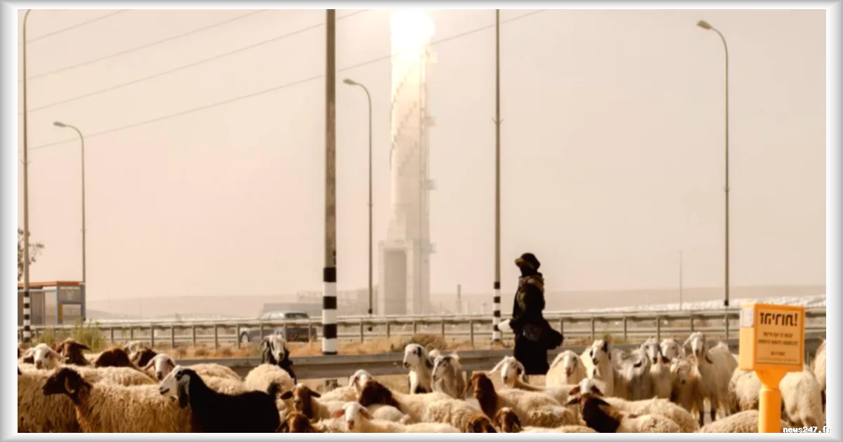 La traite des femmes palestiniennes en Israël : un calvaire invisible