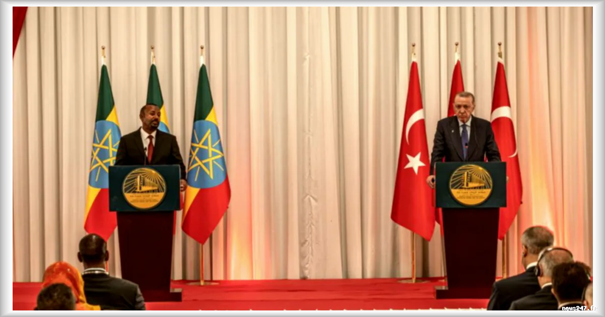 La Turquie renforce sa présence en Somalie et dans la Corne de l'Afrique