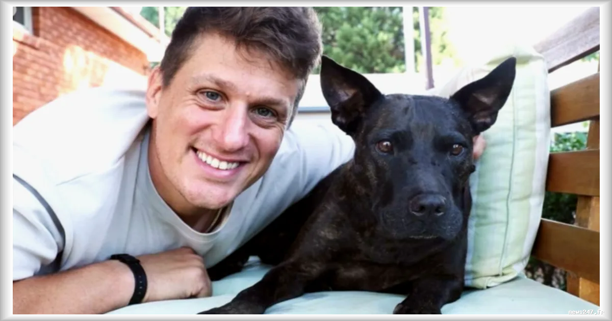 La verite derriere l'histoire du chien 'gueri' d'un cancer par ChatGPT