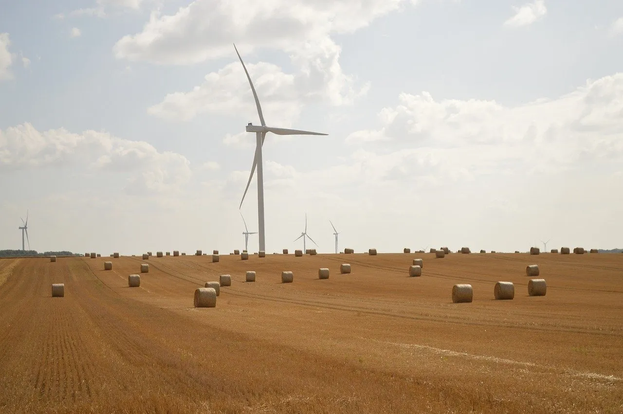 L'adaptation des AOP face au changement climatique : un défi persistant pour les agriculteurs
