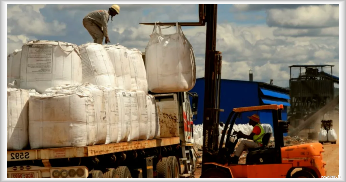 L’Afrique impose sa souveraineté sur ses ressources minières face à la dépendance chinoise