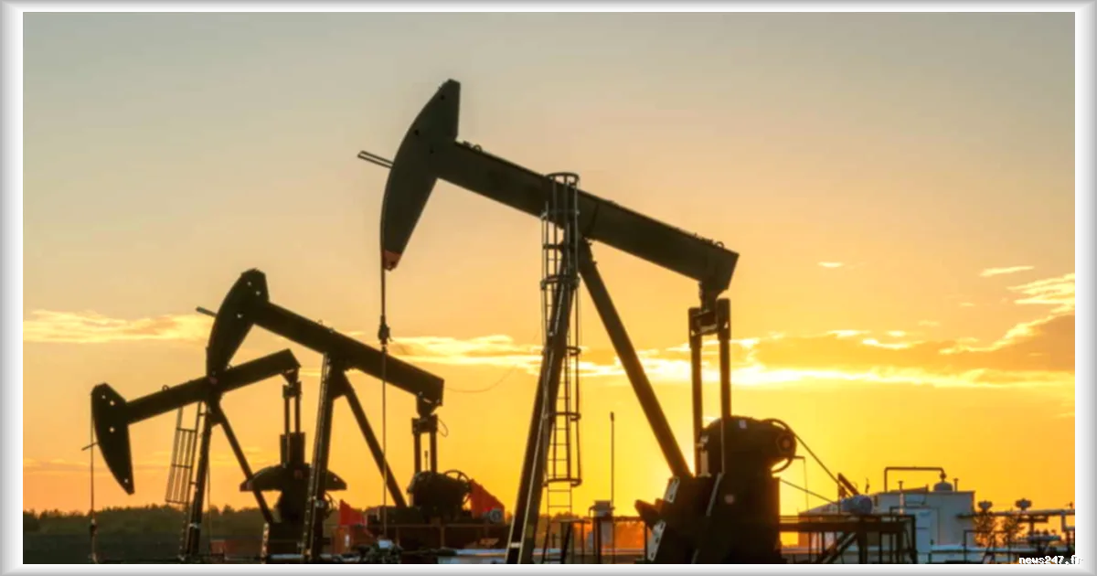 L'Agence internationale de l'énergie prevoit une crise plus severe en avril avec le risque de penurie de gazole