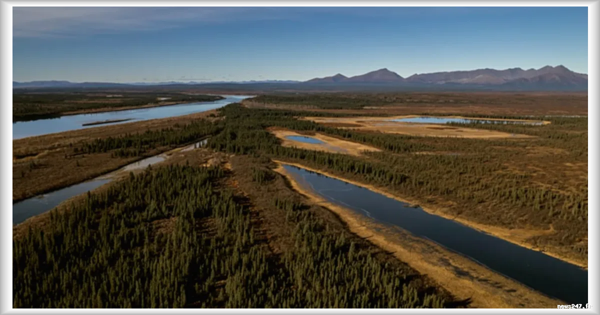 L’Alaska verdit sous l’effet du réchauffement climatique : la toundra se transforme en une « mini-jungle » arctique