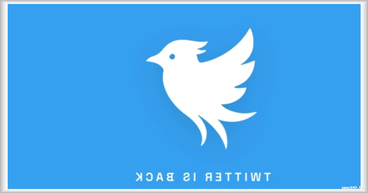 Lancée en septembre 2026, l'opération Bluebird relance un réseau de microblogging concurrent de X.com sous le nom de Twitter