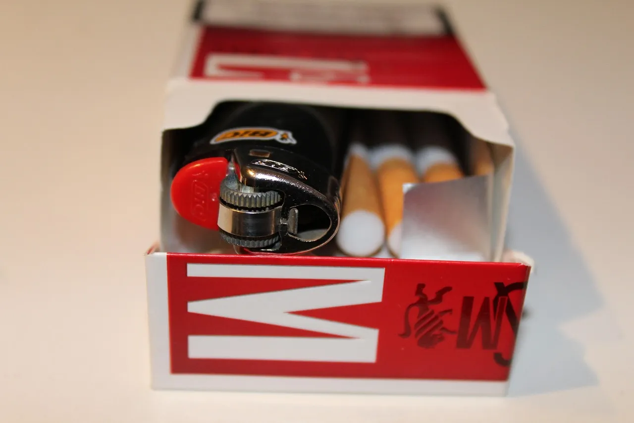 L'année 2026, un tournant pour l'avenir des LLM