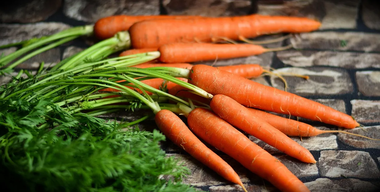 L'appel de 50 chefs étoilés: vers un modèle agricole durable et moins nocif