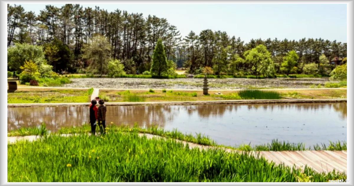 L'arboretum de Chollipo en Corée du Sud : un havre de paix créé par un ancien espion américain