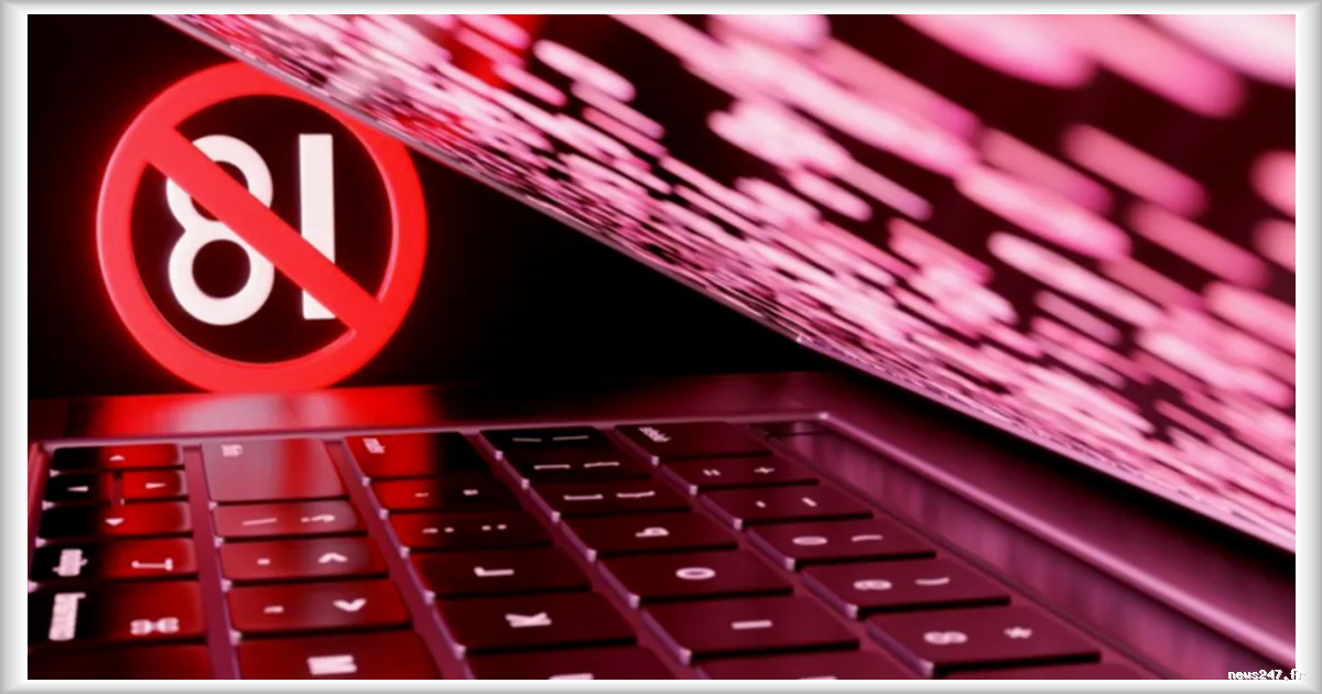 L'Arcom va demander le blocage d'un site pornographique