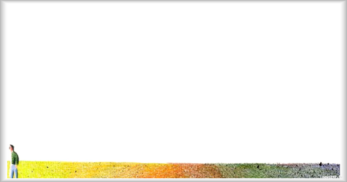 L'art discret de vivre sans amis, une réalité partagée par de grands noms