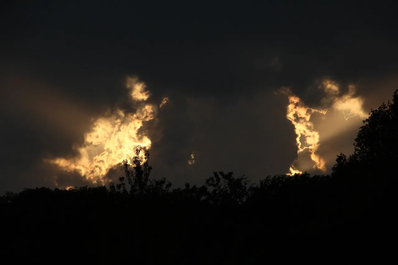 L'ascension éclair de Polymarket : prédire l'avenir avec de l'argent ?