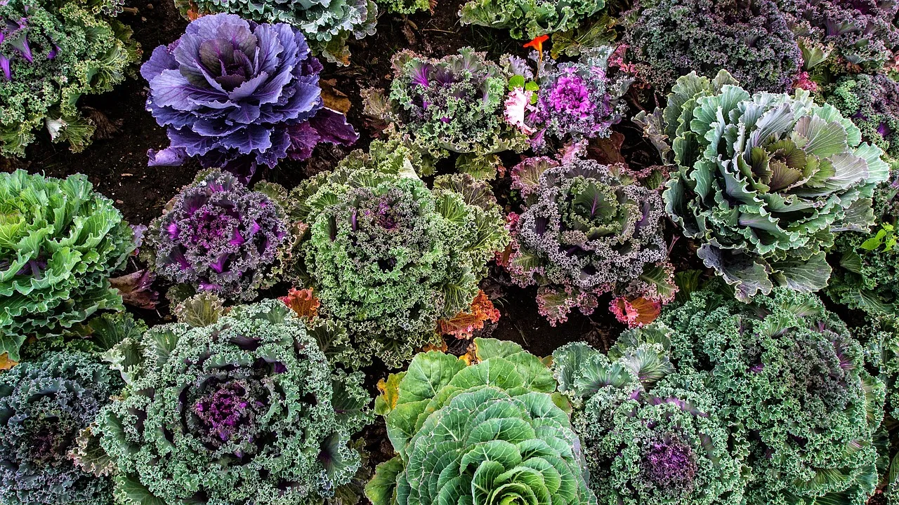 L'audiovisuel public sous le feu des projecteurs