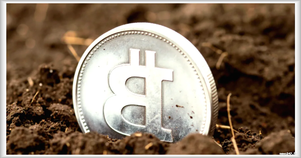 Le Bitcoin maintient son cours à 65 400 $ malgré les crises de la tech et du pétrole
