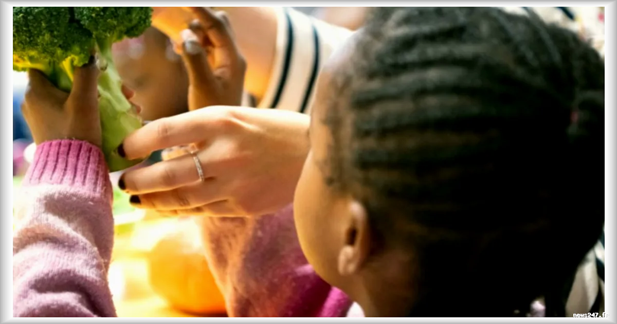 Le brocoli, un aliment souvent mal-aimé chez les enfants : retour sur une rencontre marquante à Poitiers
