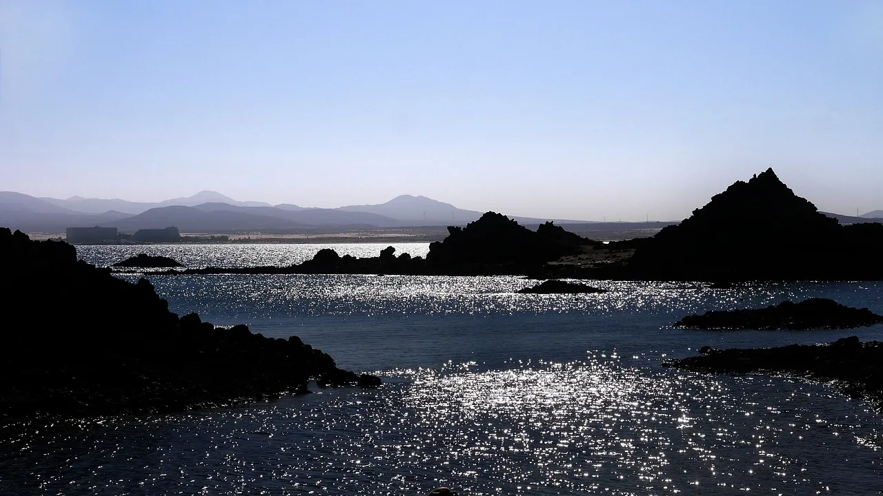 Le café, un allié contre l'Alzheimer ?