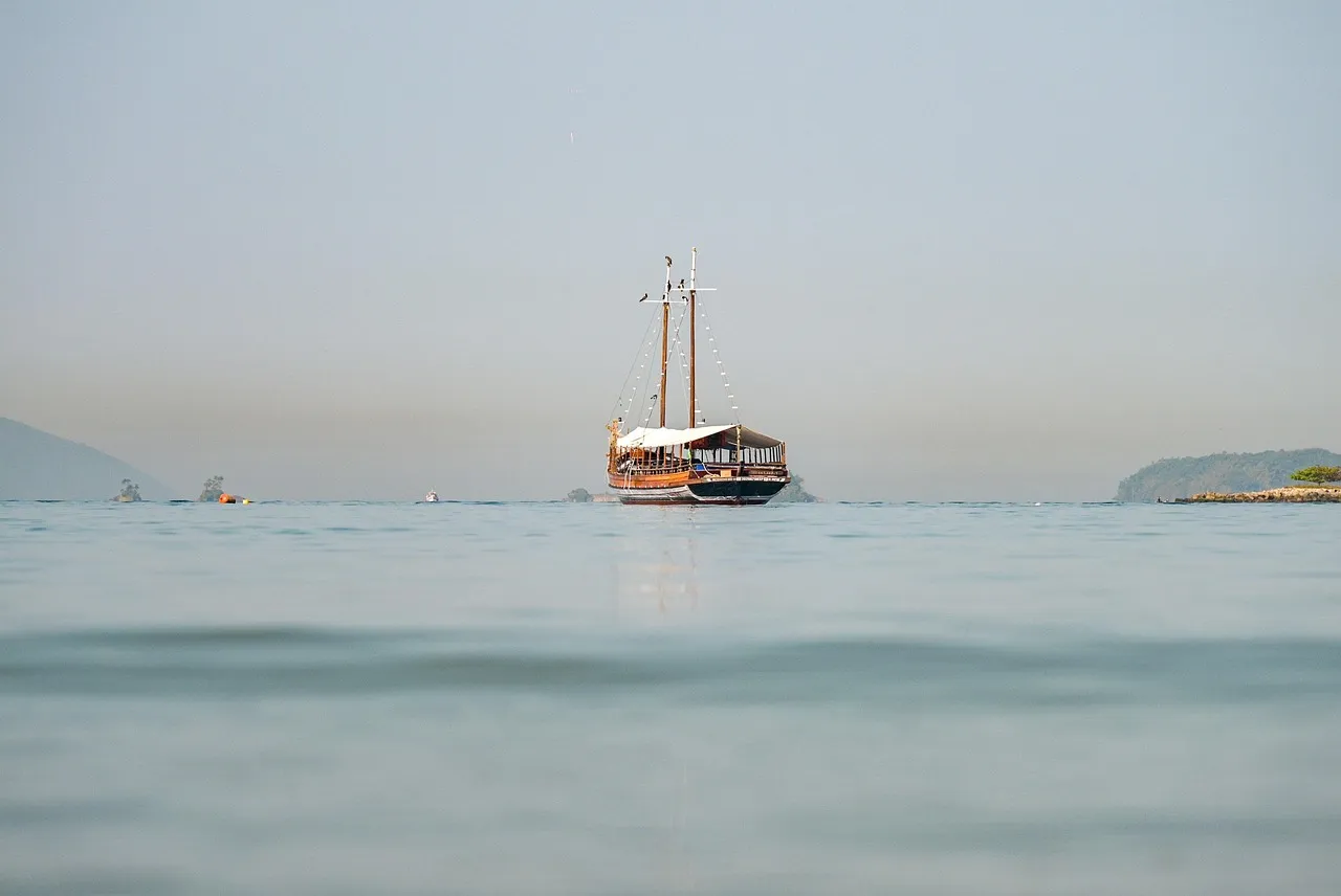Le Carnaval de Rio de Janeiro au Brésil : Une Célébration de la Samba et de la Culture