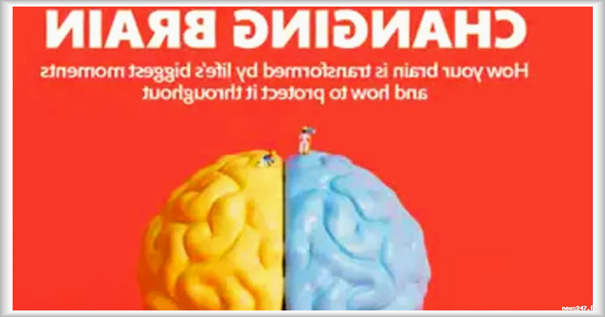 Le cerveau humain reste en constante évolution bien après 25 ans, selon New Scientist