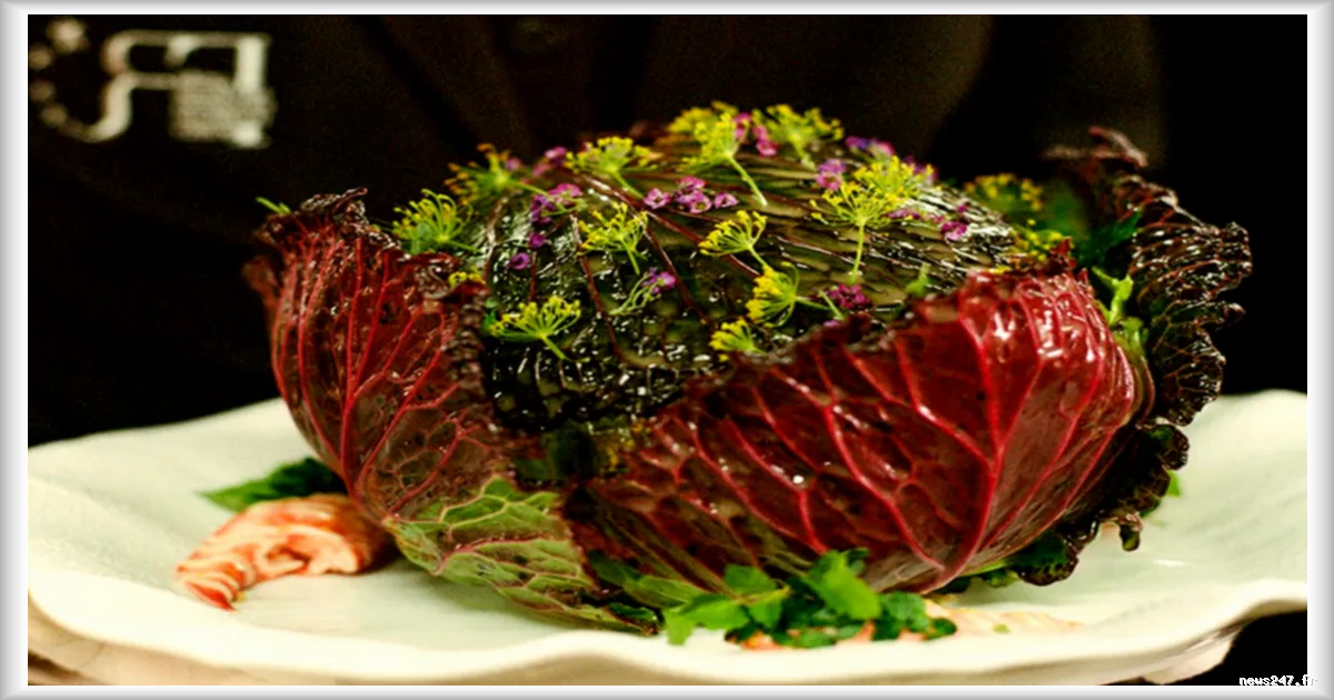 Le championnat du monde du chou farci : une compétition de haute qualité