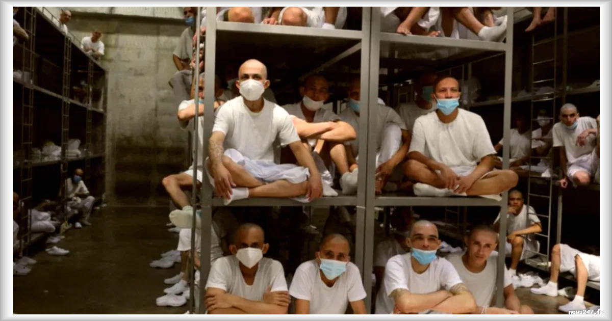 Le combat d'une mère au Salvador pour faire sortir son fils de la mégaprison de Bukele