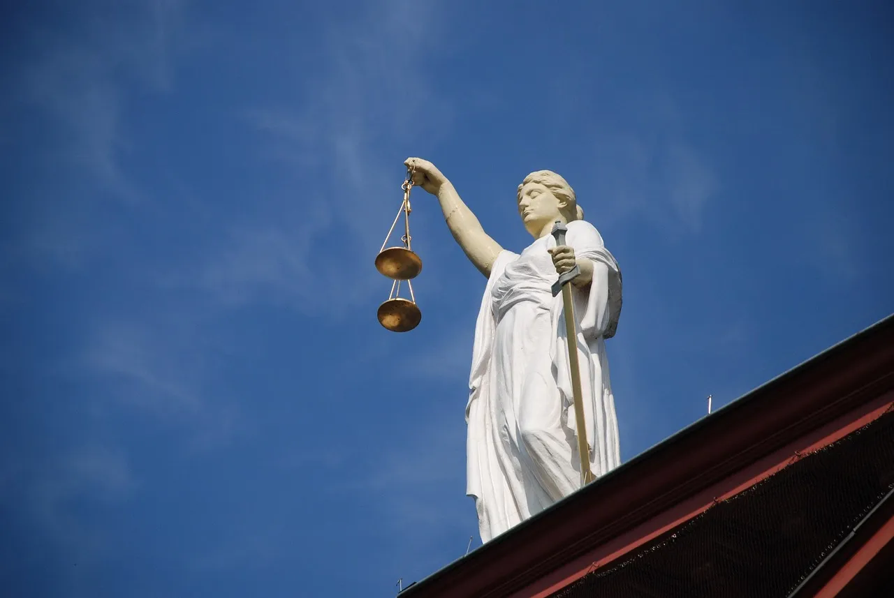 Le Conseil constitutionnel en Lozère : une audience délocalisée pour rappeler le rôle de l'État de droit
