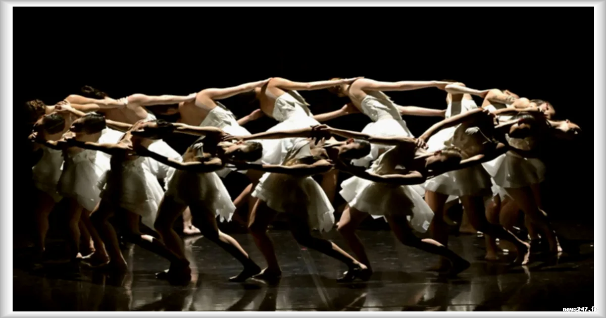 Le cygne, un symbole inépuisable pour la danse