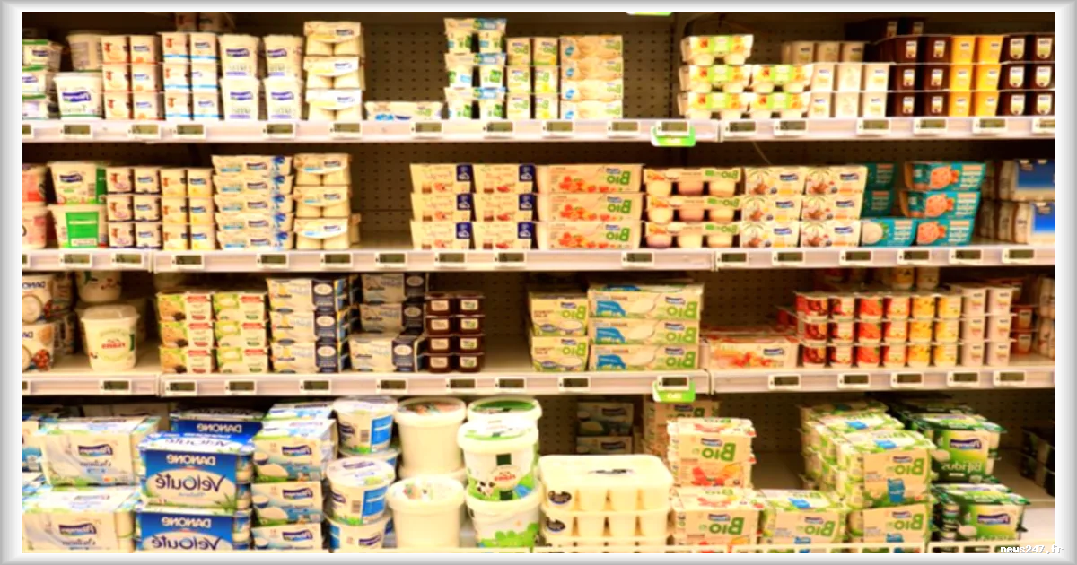 Le débat sur le pouvoir d’achat et la souveraineté économique : les consommateurs sont-ils les grands perdants des politiques européennes ?