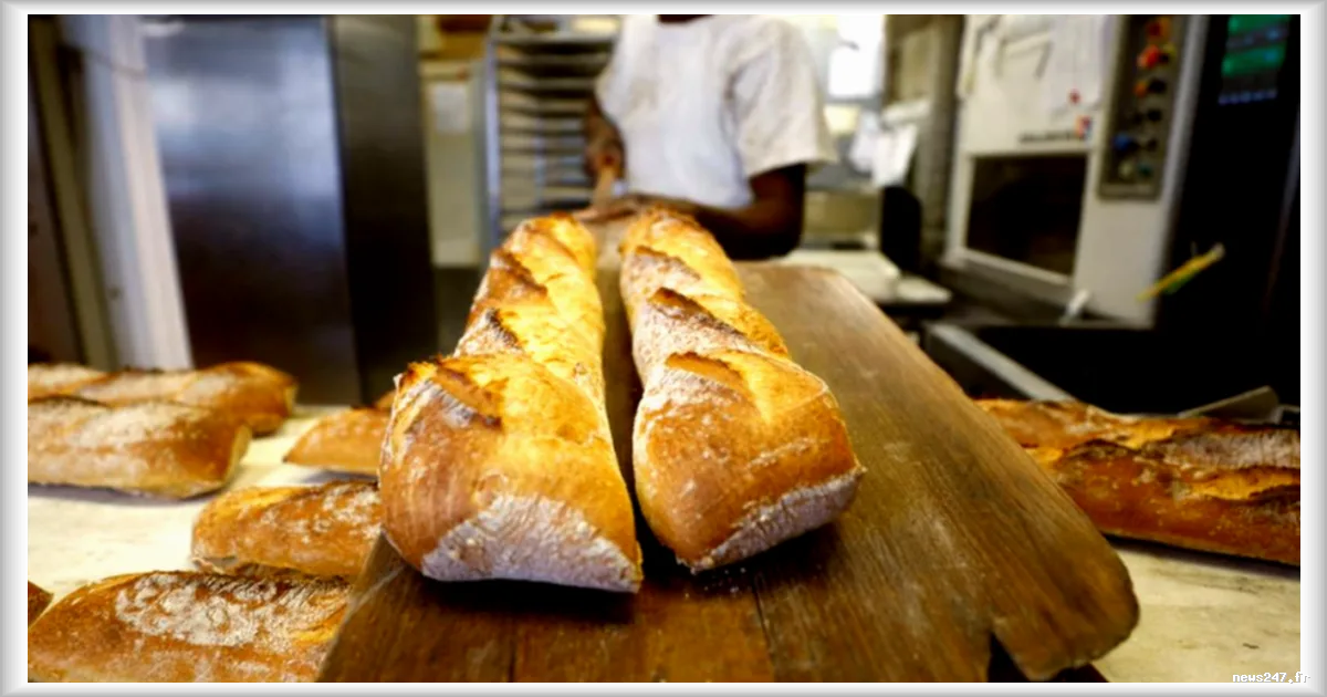 Le déclin des boulangeries traditionnelles en France : un patrimoine culinaire en péril ?