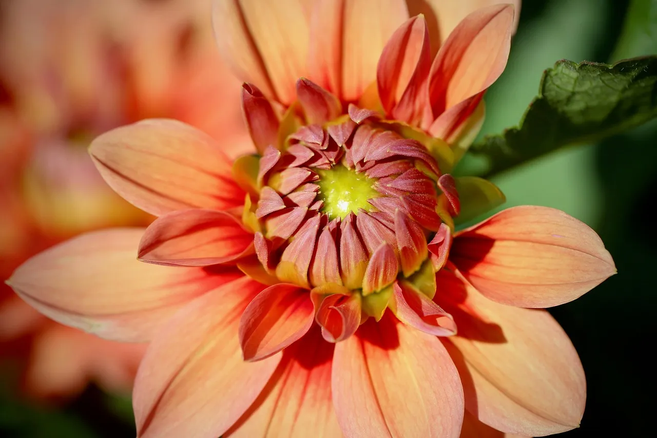 Le deuxième recueil de nouvelles de Dahlia de la Cerda explore la maternité sous l'angle de Médée