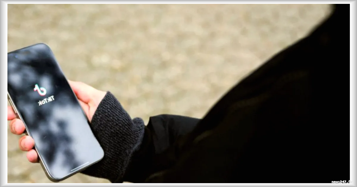 Le gouvernement brésilien somme TikTok d'expliquer sa stratégie de lutte contre la violence féminicide