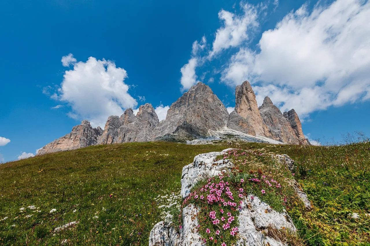 Le livre très attendu de Gisèle Pelicot déjà au cœur de toutes les conversations