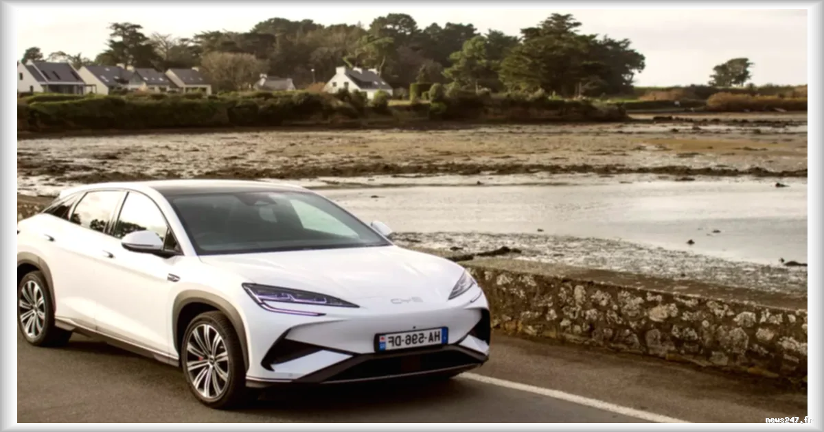 Le marché automobile français en pleine mutation : Tesla, BYD et Xpeng enregistrent des ventes record