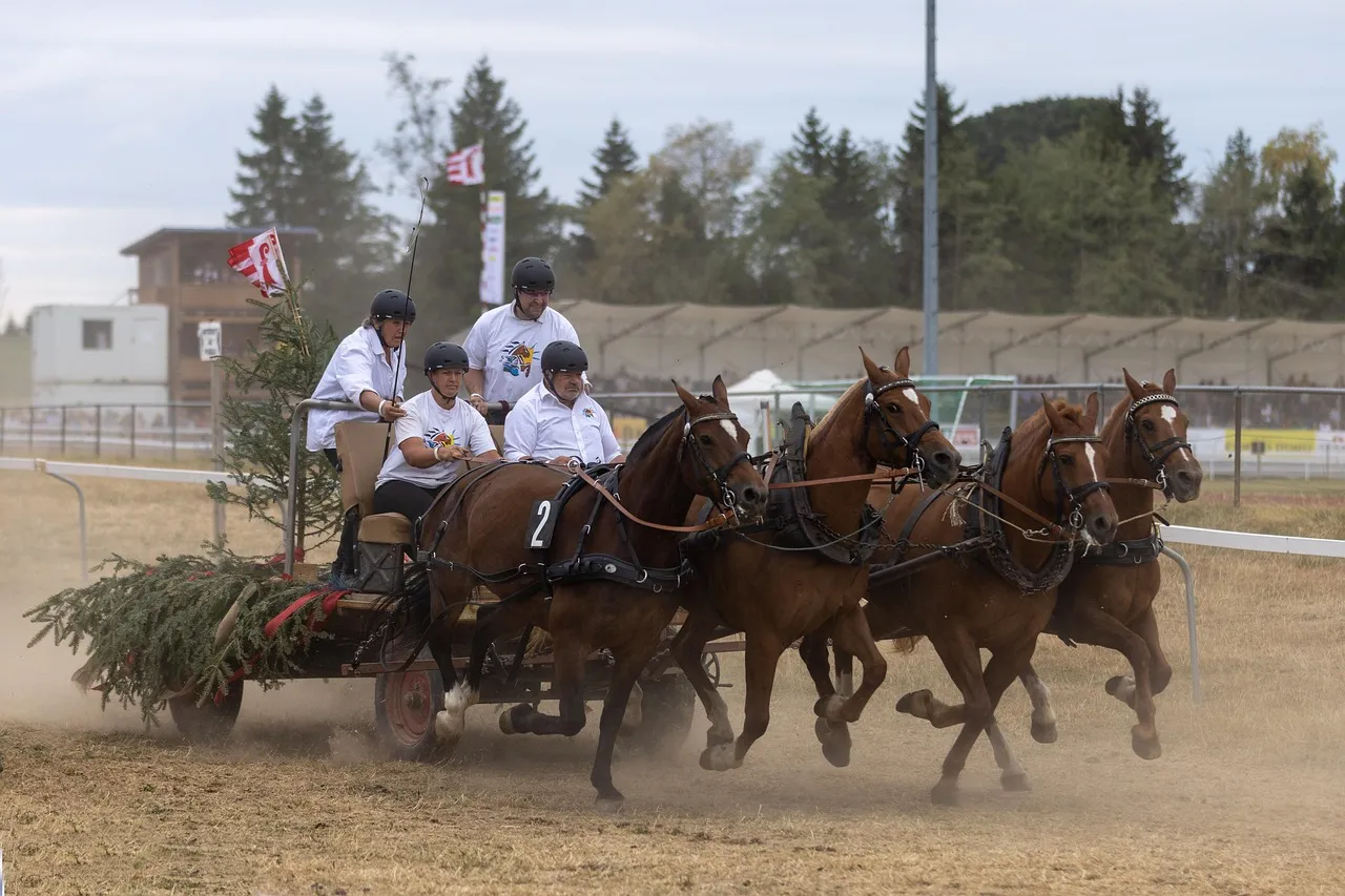 Le marché du mariage en plein essor à Paris